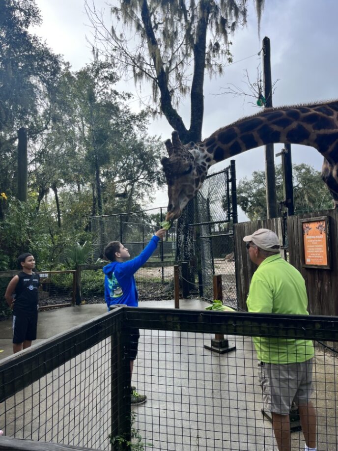 student feeding giraffe