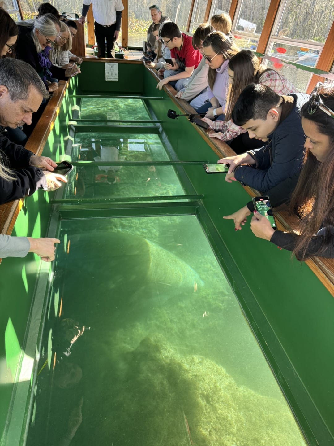 Kids looking the lake