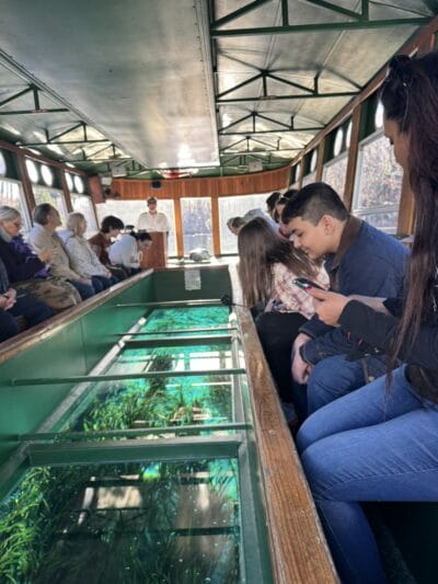 people looking at the lake from a boat