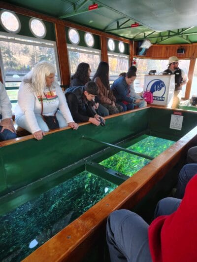 people looking a big fish from a boat