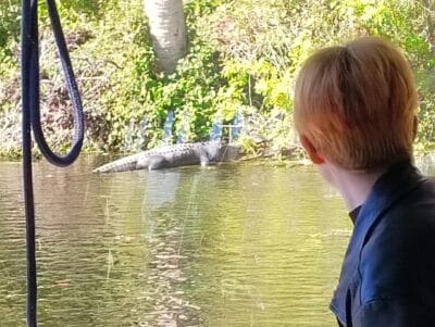 boy looking at crocodile