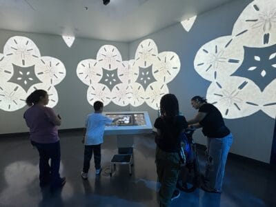 students in the museum doing activities