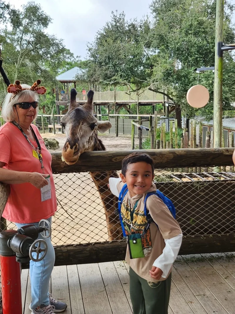 Little boy with giraffe