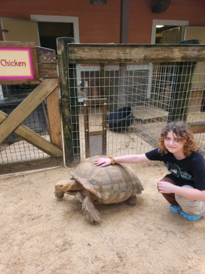 Kids with turtle in the zoo