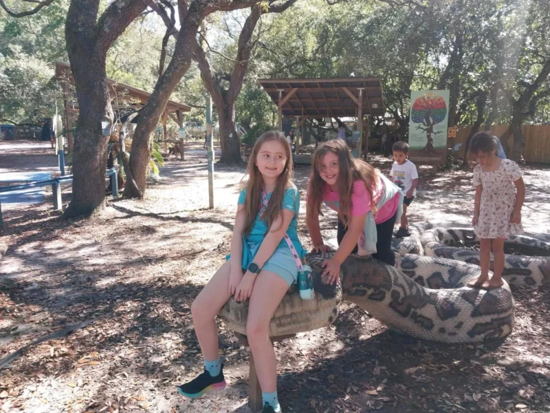 Children play on a large, snake-shaped sculpture