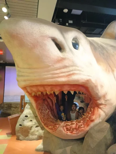 children on the shark attraction