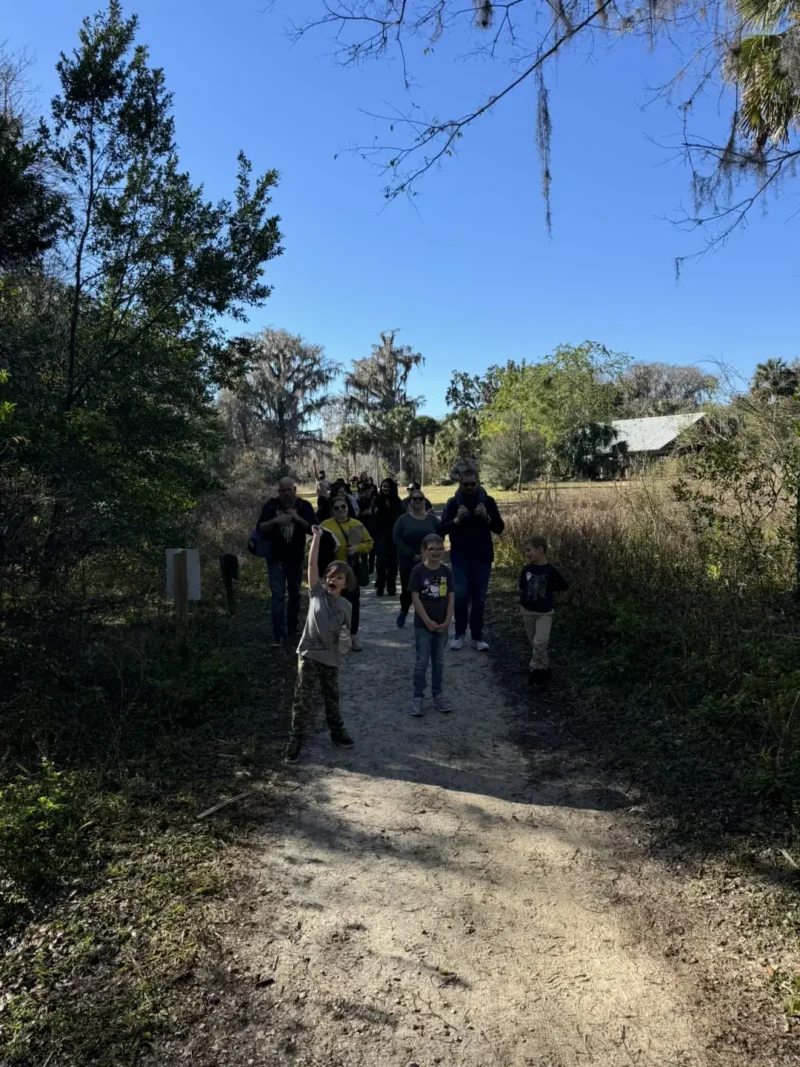 people walking